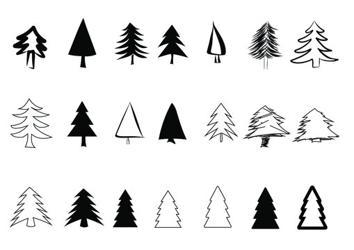 Set of pines or Christmas trees / black and white