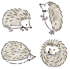 ハリネズミの水彩調ベクターイラスト © ayun