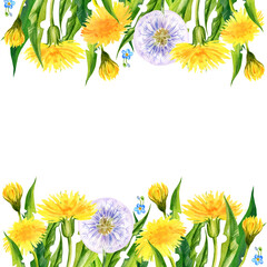 flowers border, hand draw watercolour summer dandelions, herbs, butterfly, white background, yellow flowers for textil, card, wedding design