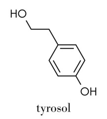 Tyrosol molecule. Antioxidant found in olive oil. Skeletal formula.