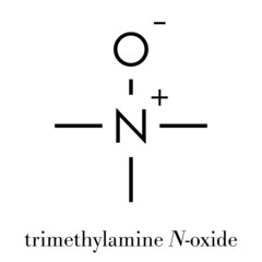 Trimethylamine N-oxide (TMAO) molecule. Skeletal formula.