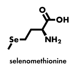 Selenomethionine amino acid molecule. Selenium containing natural analog of methionine. Skeletal formula.