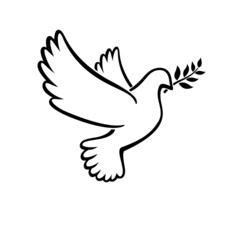 beautiful white peace dove outline with olive branch