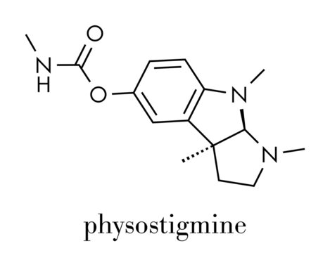 Physostigmine Alkaloid Molecule. Present In Calabar Bean And Manchineel Tree, Acts As Acetylcholinesterase Inhibitor. Skeletal Formula.