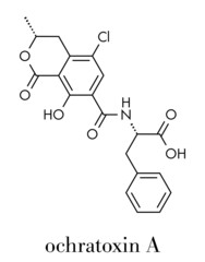 Fototapeta premium Ochratoxin A mycotoxin molecule. Skeletal formula.