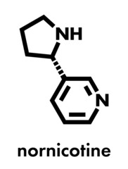 Nornicotine alkaloid molecule. Related to nicotine and also found in Nicotiana plants. Skeletal formula.