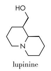 Fototapeta premium lupinine lupin alkaloid molecule. Skeletal formula.