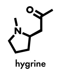 Hygrine coca alkaloid molecule. Skeletal formula.