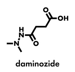 Daminozide (Alar) plant growth regulator molecule. Has been banned because of carcinogenicity concerns. Skeletal formula.