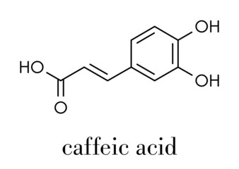 Caffeic acid molecule. Intermediate in the biosynthesis of lignin. Skeletal formula.