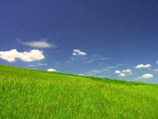 Obraz premium 真夏の江戸川土手風景