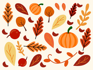simple autumn background, leaves, pumpkin, white background