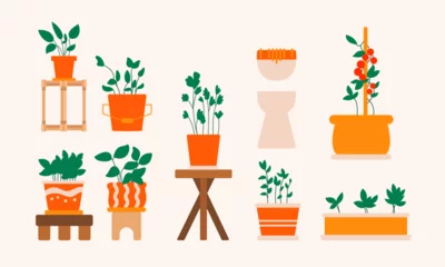 Tuinposter Illustration of potted house plants collection © Jerilyn Guerrero