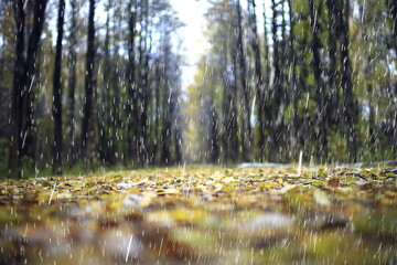 bad weather rain wind, autumn concept background