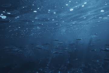 fish underwater shoal, abstract background nature sea ocean ecosystem - obrazy, fototapety, plakaty