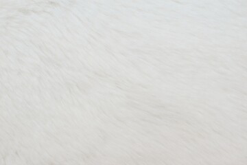abstract close-up white fur background texture