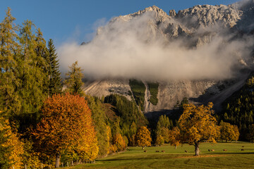 Fototapeta premium autumn morning