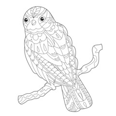 Cute beautiful  bird owl. Black and white background. Funny creature, coloring book pages. Hand drawn illustration in zentangle style for children and adults, tattoo.