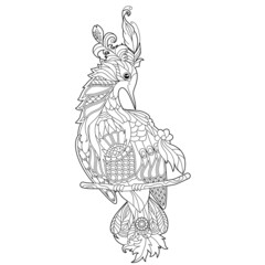 Cute beautiful  bird with long tail. Black and white background. Funny creature, coloring book pages. Hand drawn illustration in zentangle style for children and adults, tattoo.