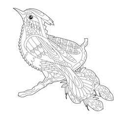 Fototapeta premium Cute beautiful bird with long tail. Black and white background. Funny creature, coloring book pages. Hand drawn illustration in zentangle style for children and adults, tattoo.