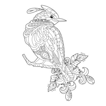 Cute beautiful  bird with long tail. Black and white background. Funny creature, coloring book pages. Hand drawn illustration in zentangle style for children and adults, tattoo.