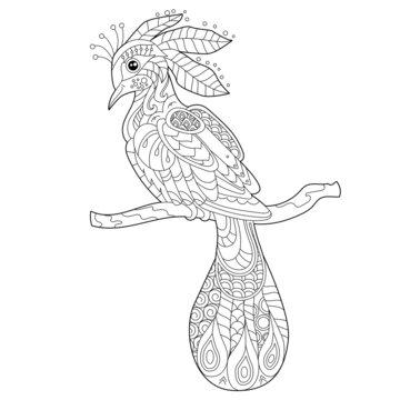 Cute beautiful  bird with long tail. Black and white background. Funny creature, coloring book pages. Hand drawn illustration in zentangle style for children and adults, tattoo.