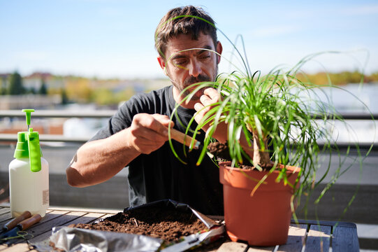 Man replanting plant in pot on terrace