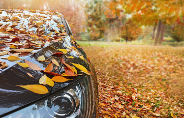 Transport, autumn, weather, vehicle concept. Car is near the park on autumnal day. Yellow leaves...