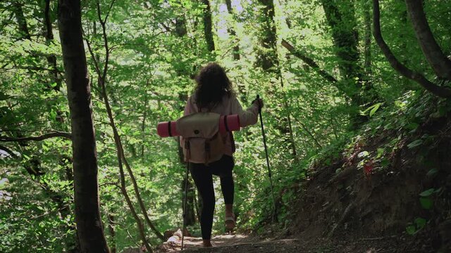 Girl backpacker hiking in sunlit forest
