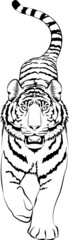 虎 ベクター イラスト  モノクロ