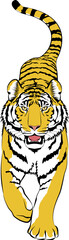 虎 ベクター イラスト