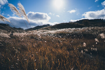 秋の山と空とすすき