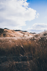 秋の山と空とすすき