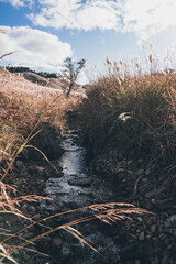 秋の山と空とすすき