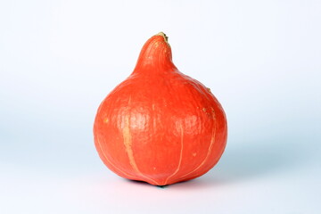 One fresh orange pumpkin isolated on white background