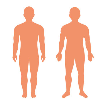 Human body silhouette, standing man vector illustration