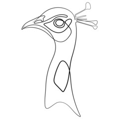 Peacock, White heron line drawing on white in vector illustration. Peacock, White heron concept logo in line art. Continuous one line drawing of Peacock, White heron silhouette isolated.