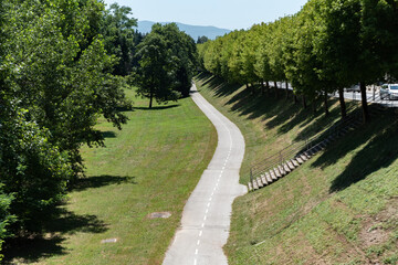 Fototapeta na wymiar Bicycle path through the park. Urban green area on a hot sunny day.