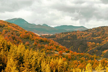 Changing colors of the season.