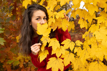 Naklejka na ściany i meble Young woman peeking out from behind yellow foliage in autumn