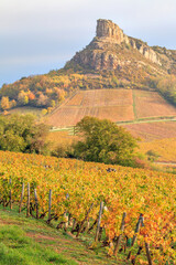 Solutré, Burgundy, France vineyard in autumn