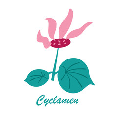 Cyclamen flower, leaves and bud. Stylized drawing in a flat style. Alpine violet. Vector hand drawn illustration.