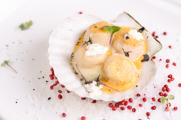 scallop on a white plate