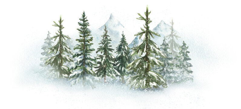 Watercolor illustration of winter forest and mountains. Landscape, Forest trees, pines, mountains. Wildlife, invitations, calendar design, greeting card.