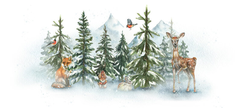 Watercolor illustration of winter forest and mountains. Landscape, forest trees, pines, mountains wild animals deer, squirrel, fox, bullfinch. Wild nature.