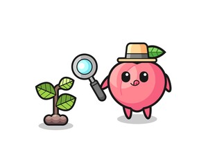 Fototapeta premium cute peach herbalist researching a plants