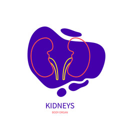Kidneys urinary system body organ outline icon on abstract geometric splash. Human anatomy medical symbol. Vector illustration.