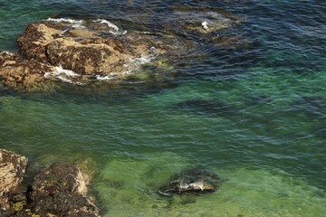 eaux turquoises de Belle ile