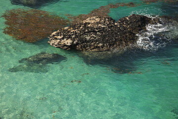 eaux turquoises de Belle ile