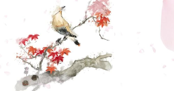 Watercolor flowers and birds
